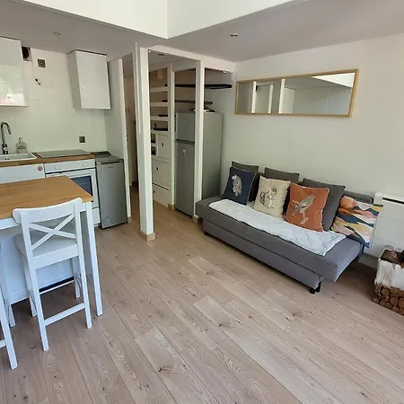 Apartment Grand Roc - Campanules 103 - Happy Chamonix